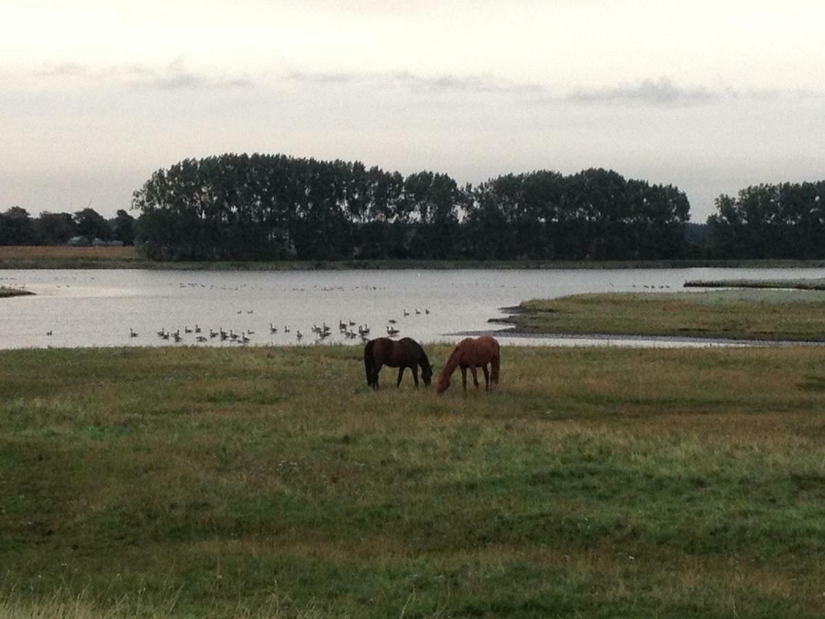 Ferienwohnung Ostseeblick Insel Poel Kültér fotó